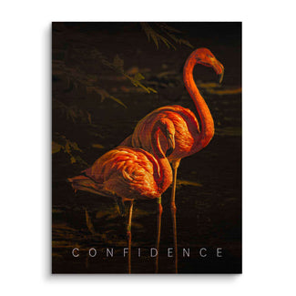 Zwei leuchtend orange Flamingos am Wasser, Motivationsbild mit Schriftzug Confidence.