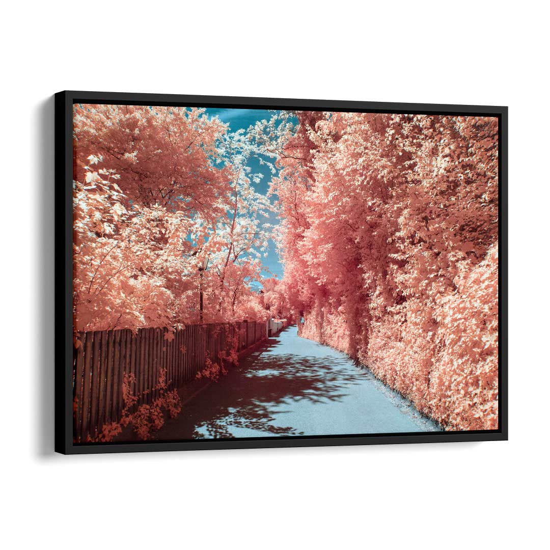 Infrared Road