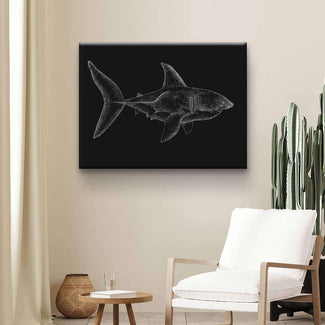 Shark 
