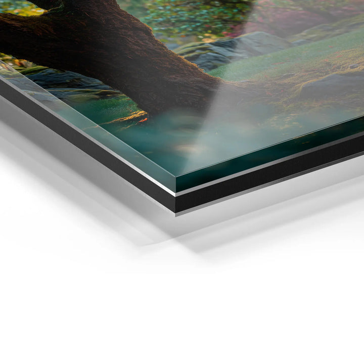 Sunbeams in the forest 