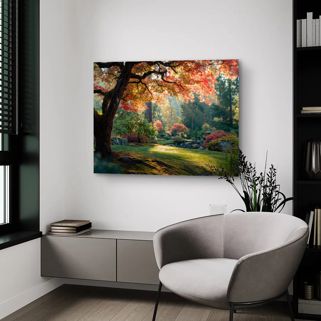 Sunbeams in the forest 