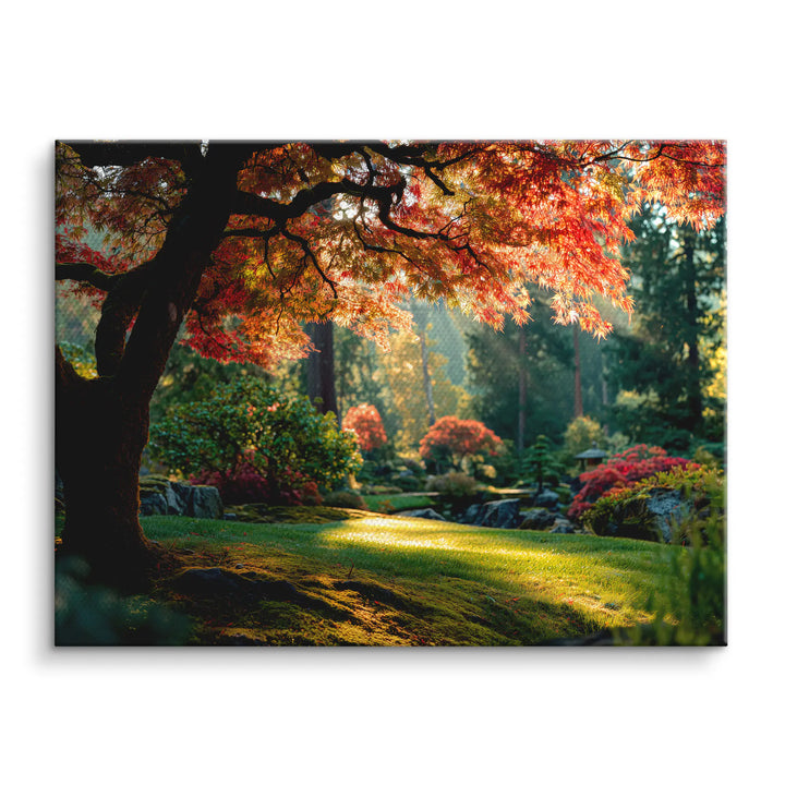 Sunbeams in the forest 