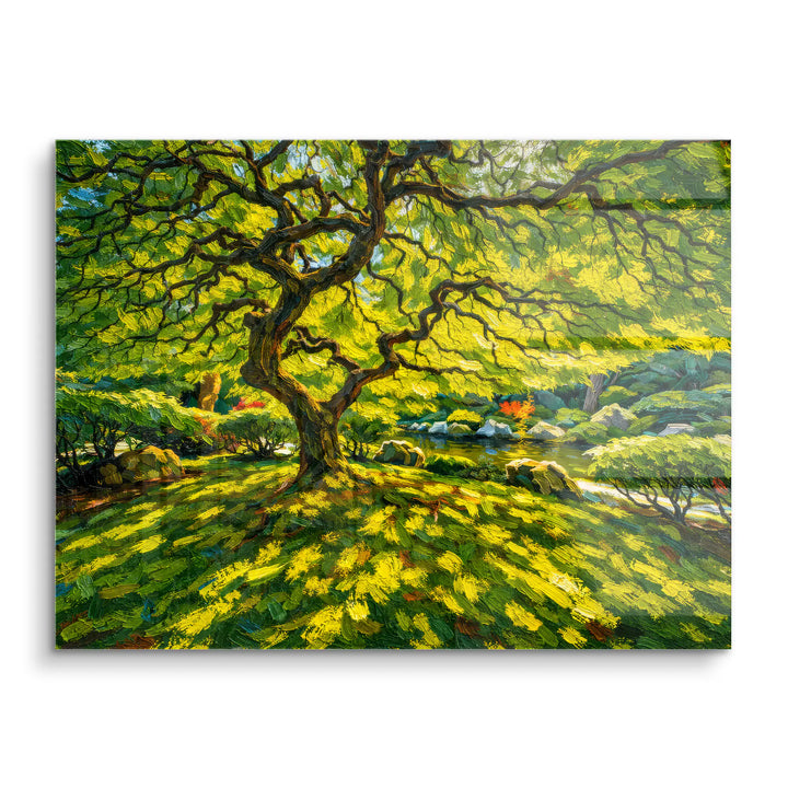 Zonnestralen in het bos 