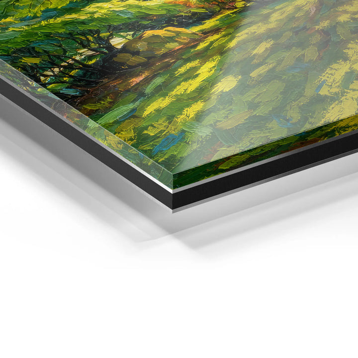 Zonnestralen in het bos 