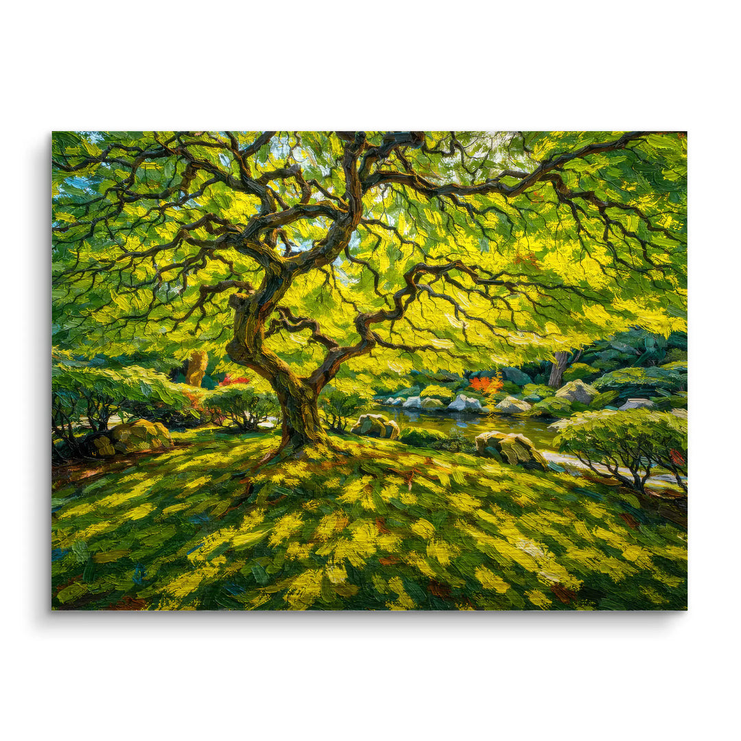 Zonnestralen in het bos 