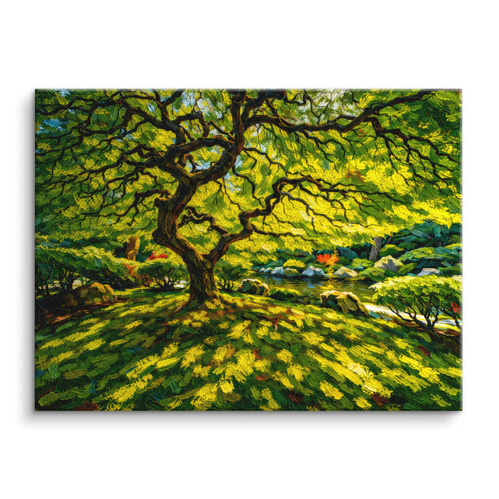 Zonnestralen in het bos 