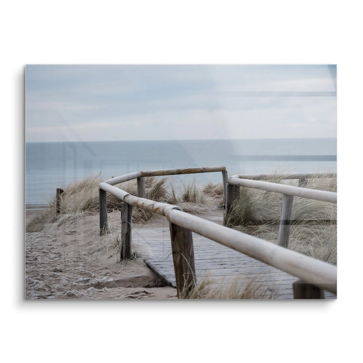 Sunbeams in the forest 