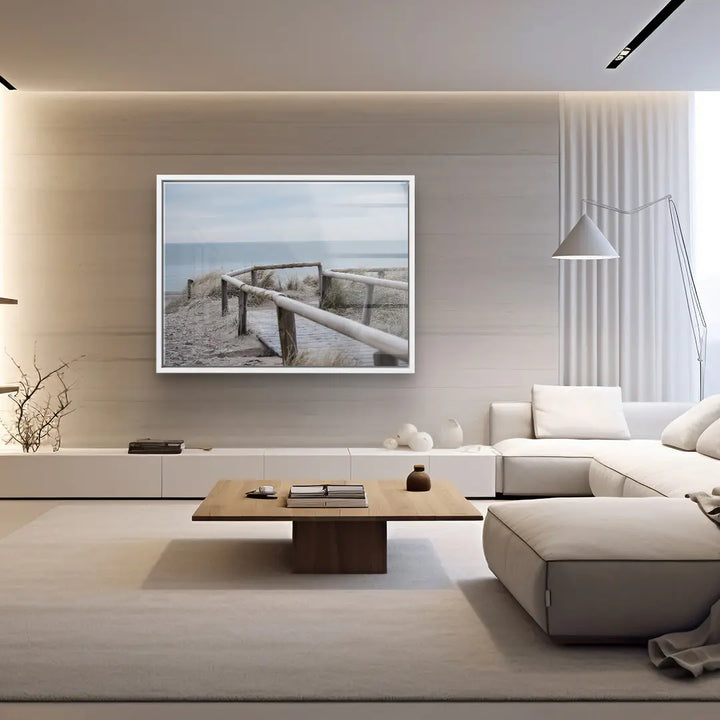 Sunbeams in the forest 