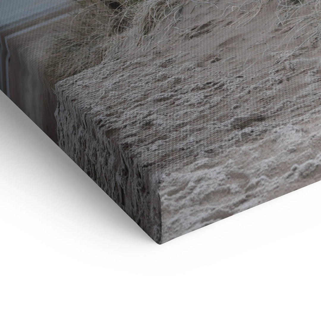 Sunbeams in the forest 