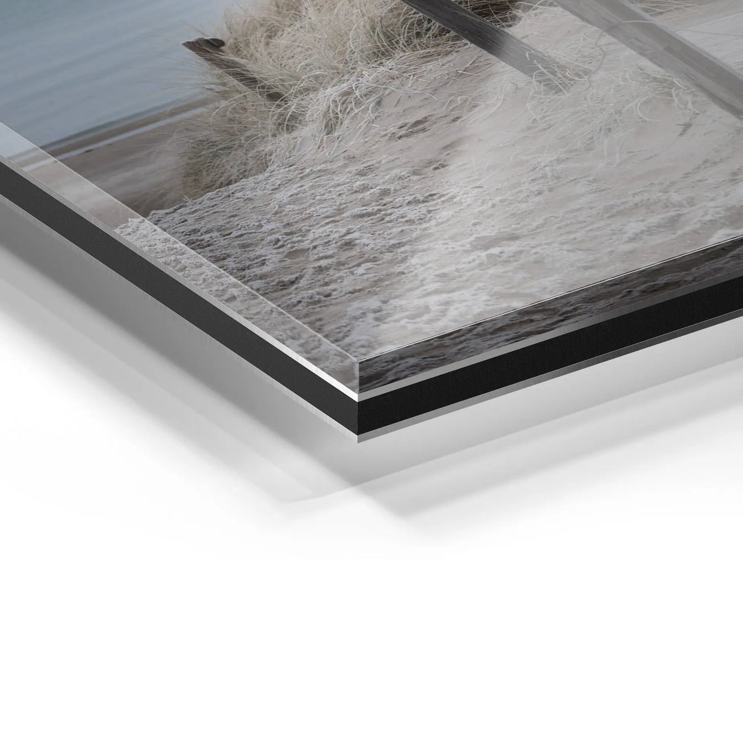 Sunbeams in the forest 