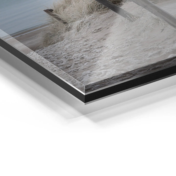 Sunbeams in the forest 