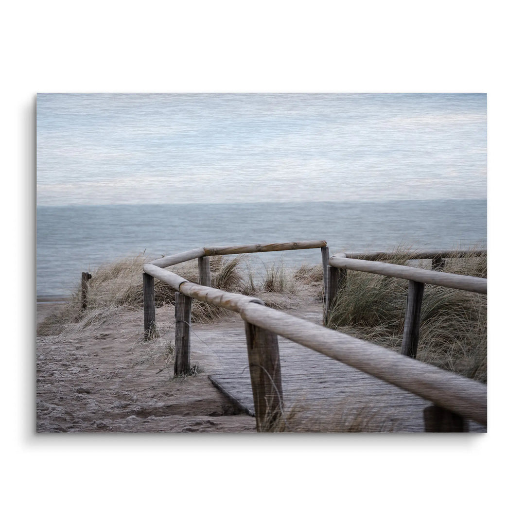 Sunbeams in the forest 