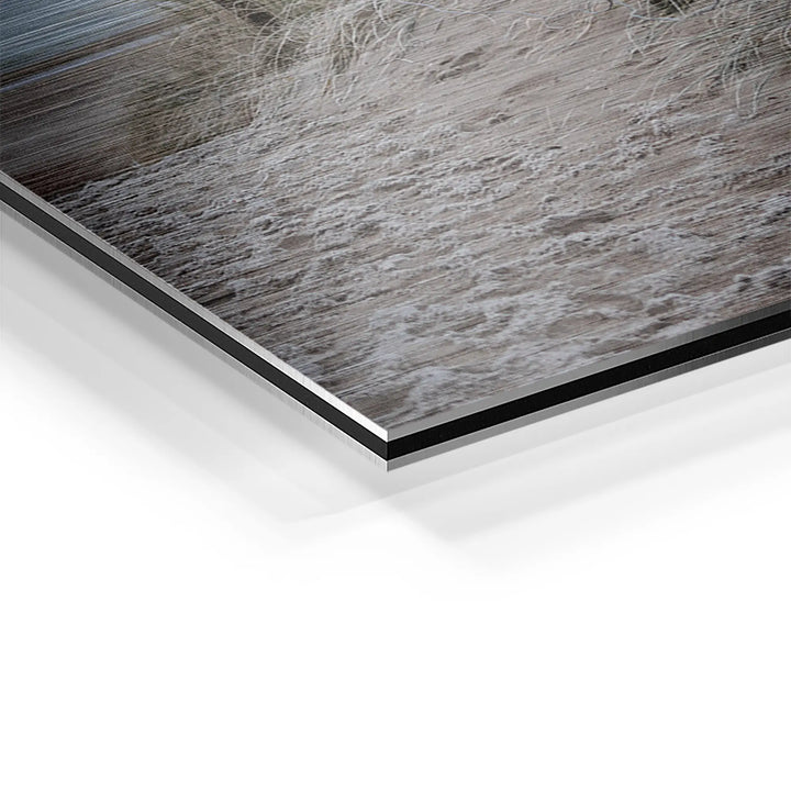 Sunbeams in the forest 