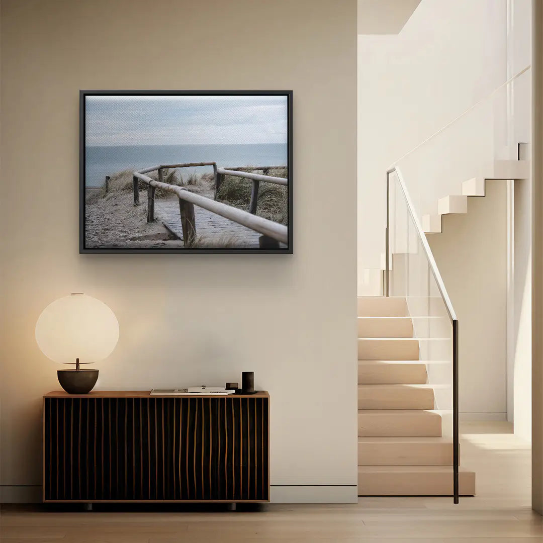 Sunbeams in the forest 