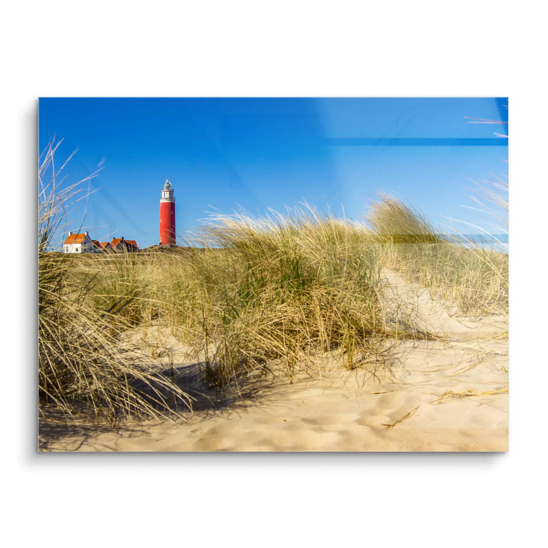 Sunbeams in the forest 