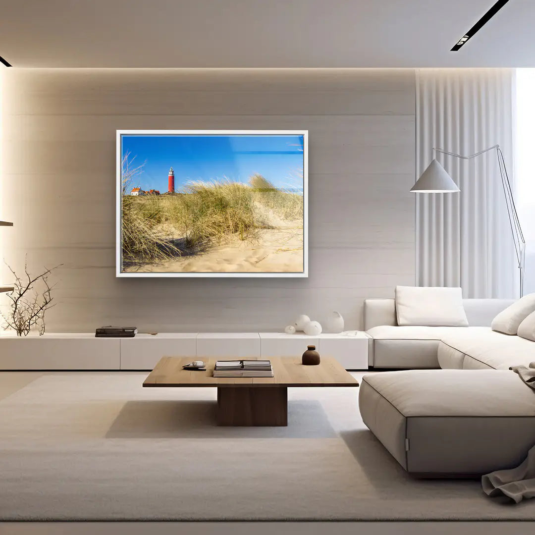 Sunbeams in the forest 