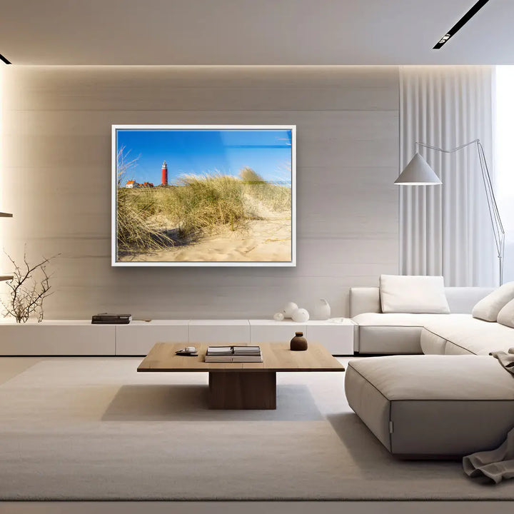 Sunbeams in the forest 