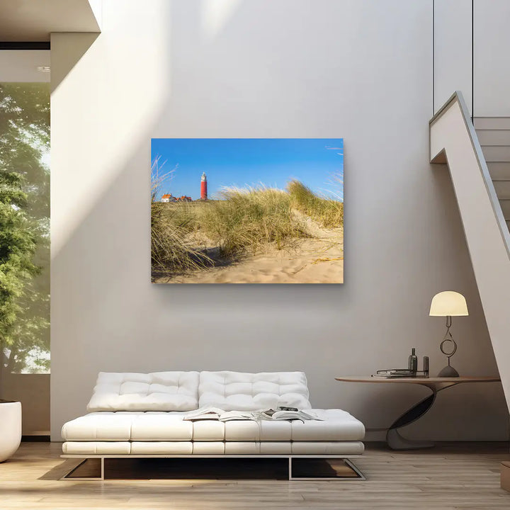 Sunbeams in the forest 