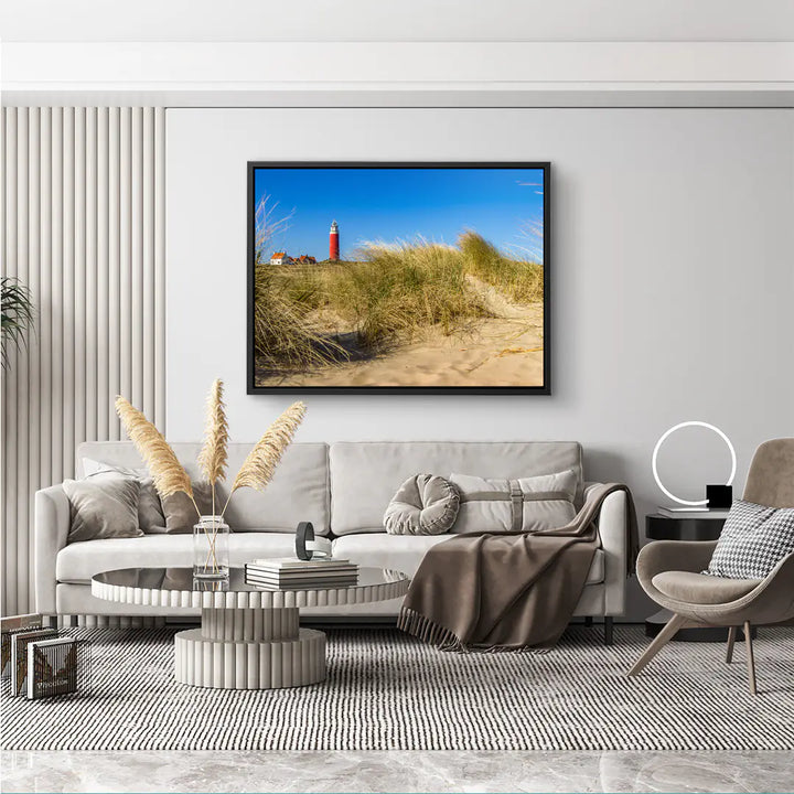 Sunbeams in the forest 