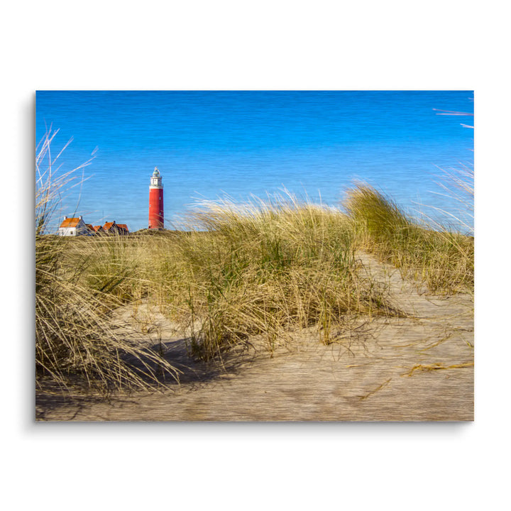 Sunbeams in the forest 