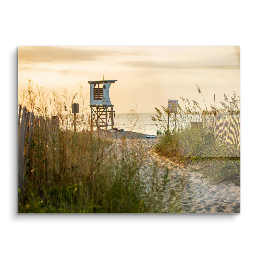 Sunbeams in the forest 