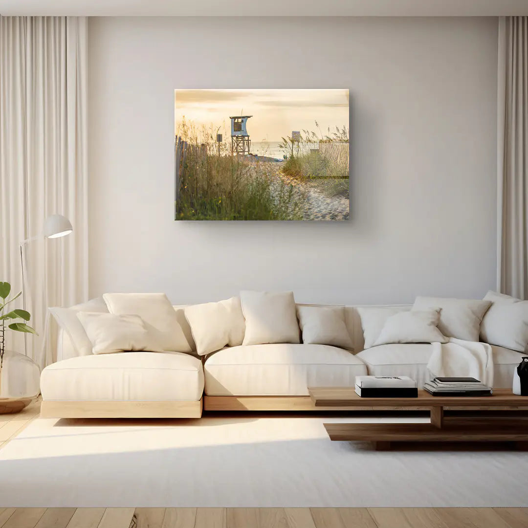 Sunbeams in the forest 