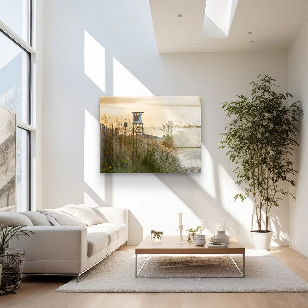 Sunbeams in the forest 