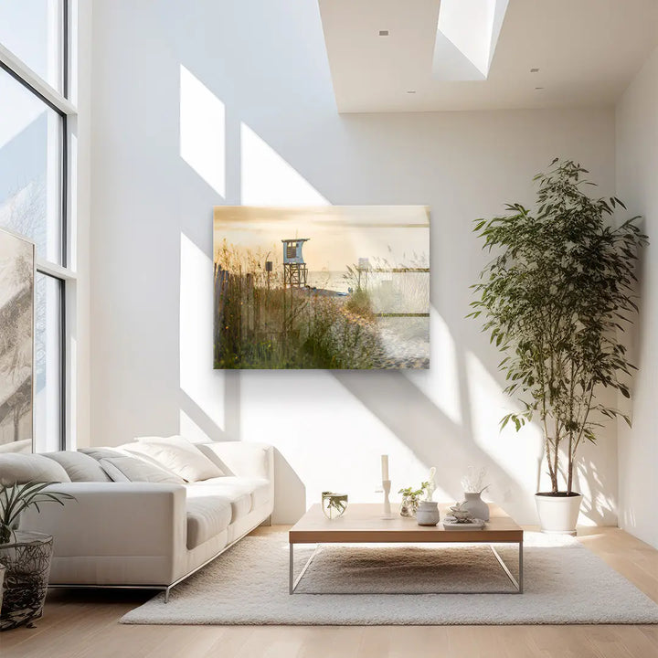 Sunbeams in the forest 