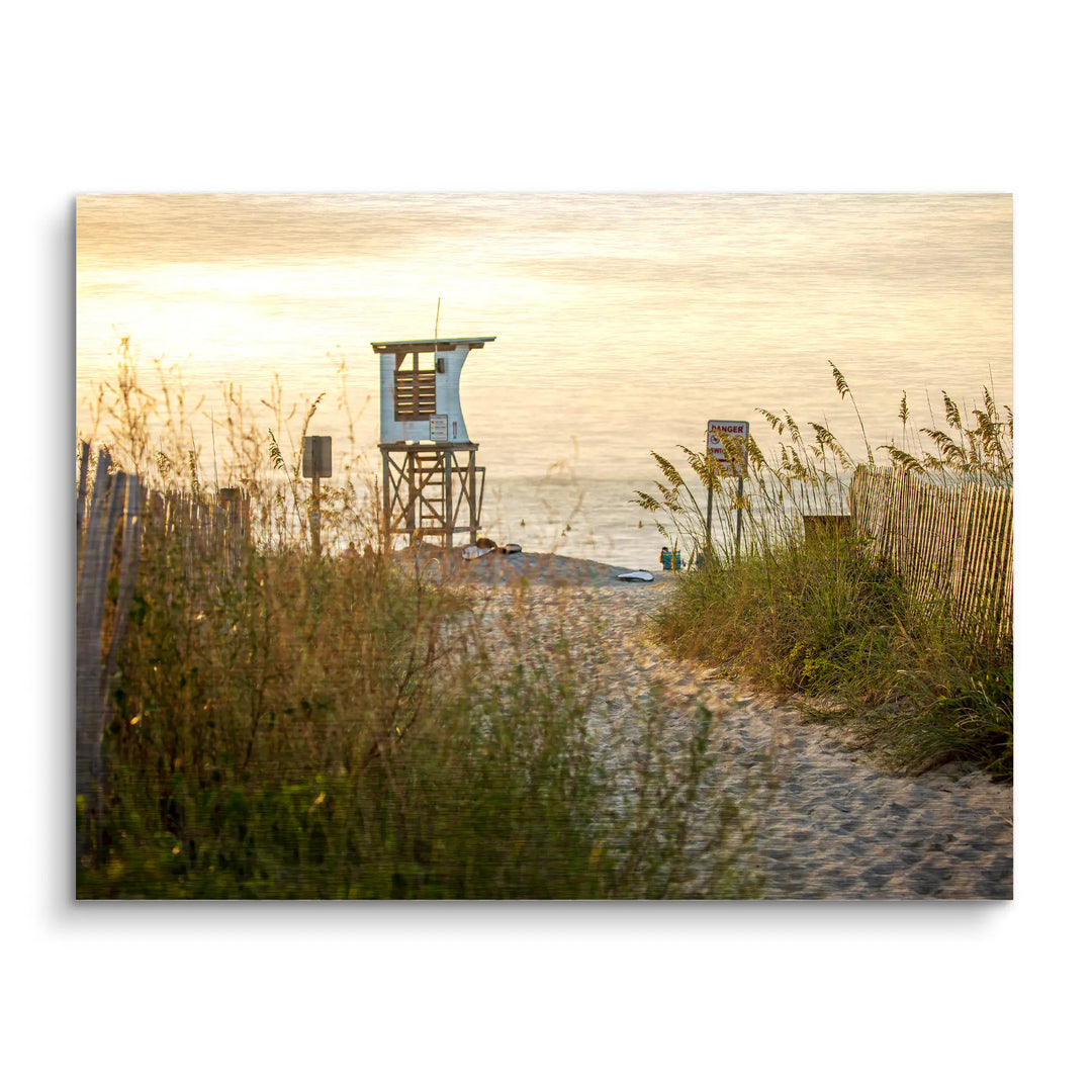 Sunbeams in the forest 