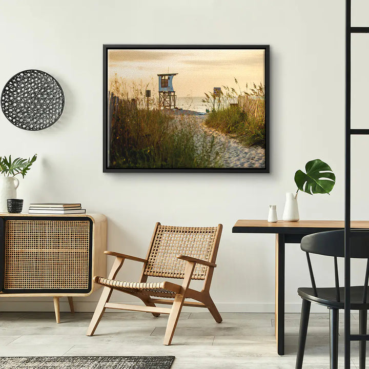 Sunbeams in the forest 