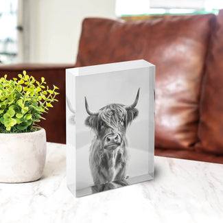 Acrylblock - Highland Cattle