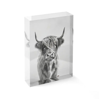 Acrylblock - Highland Cattle