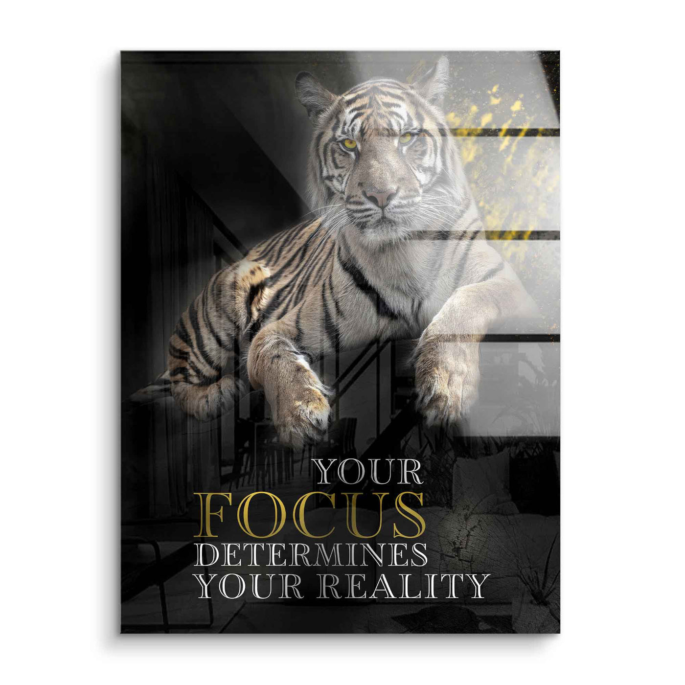 Focus determines reality