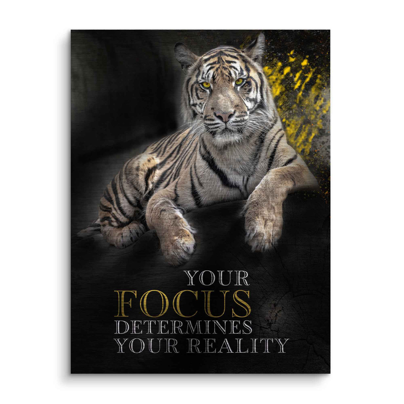Focus determines reality