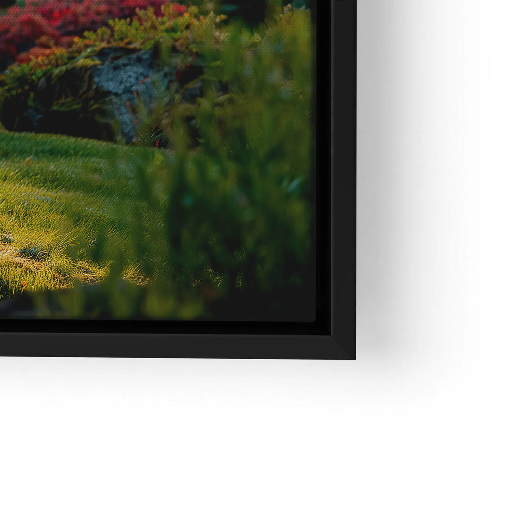 Sunbeams in the forest 