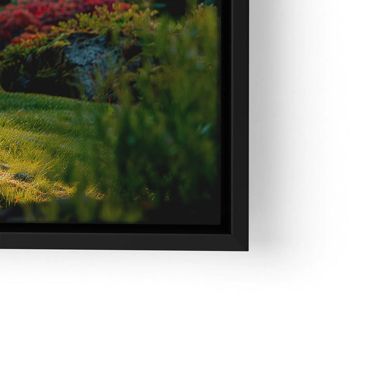 Sunbeams in the forest 