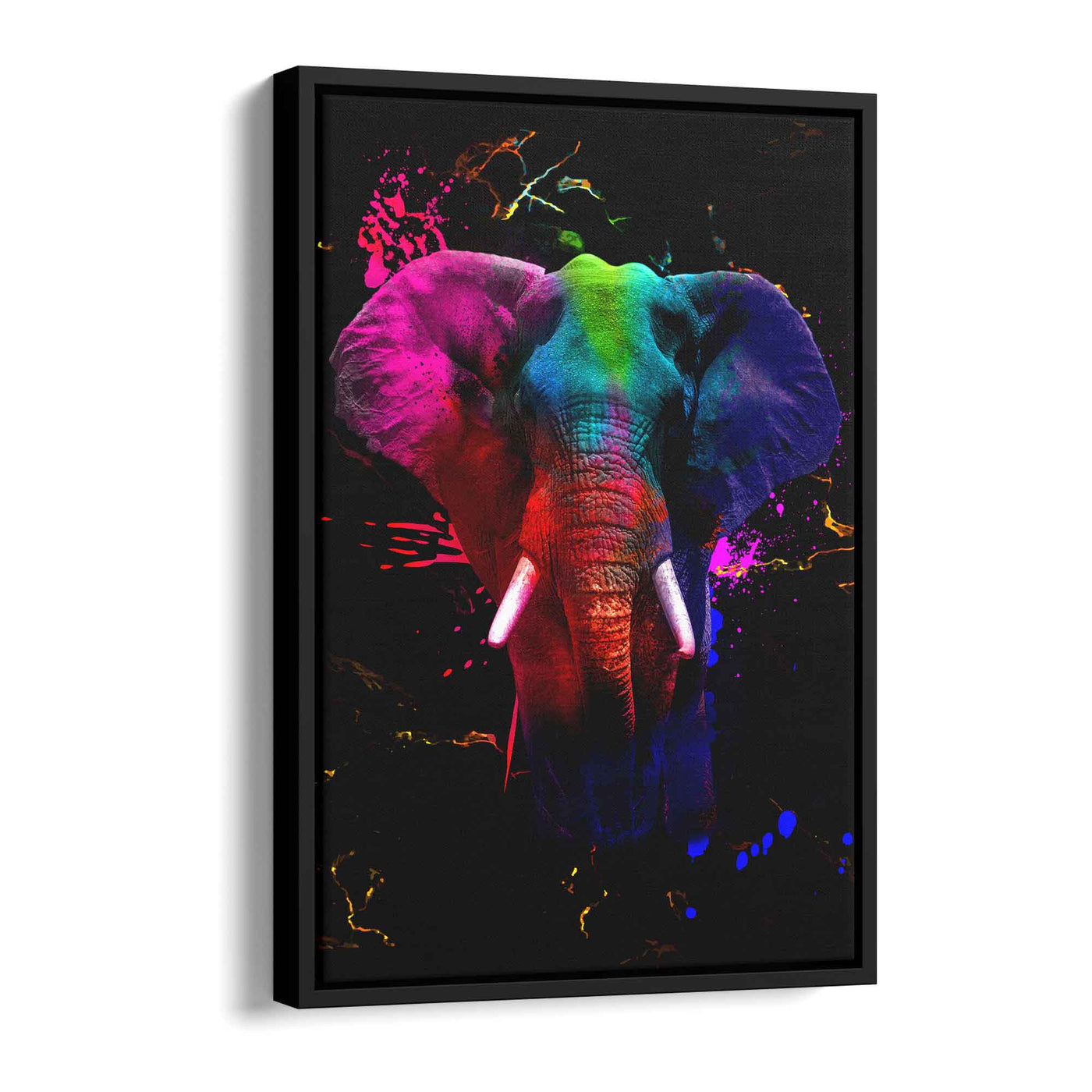 Elefant -  Colorful