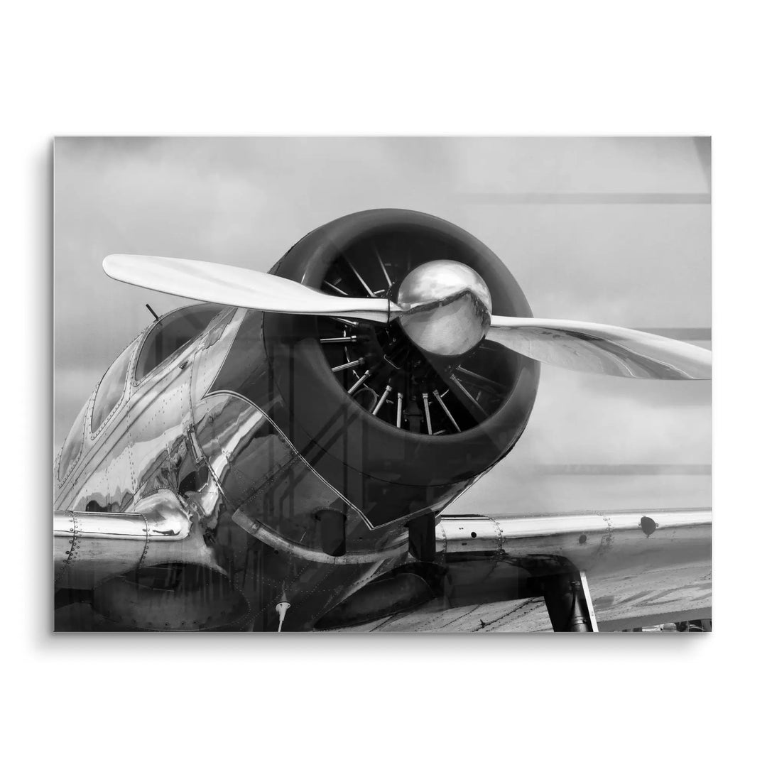 Silver wings