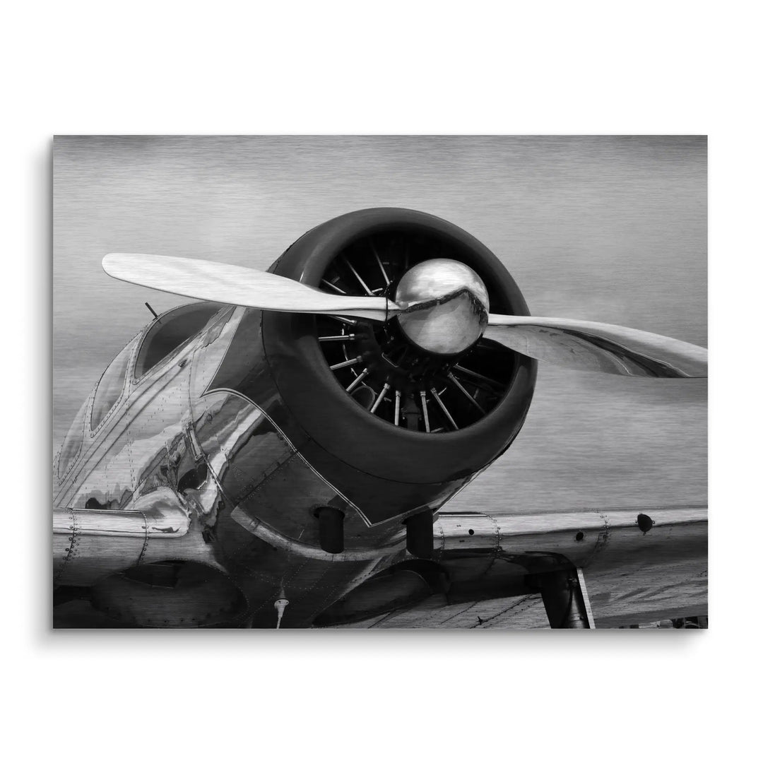 Silver wings