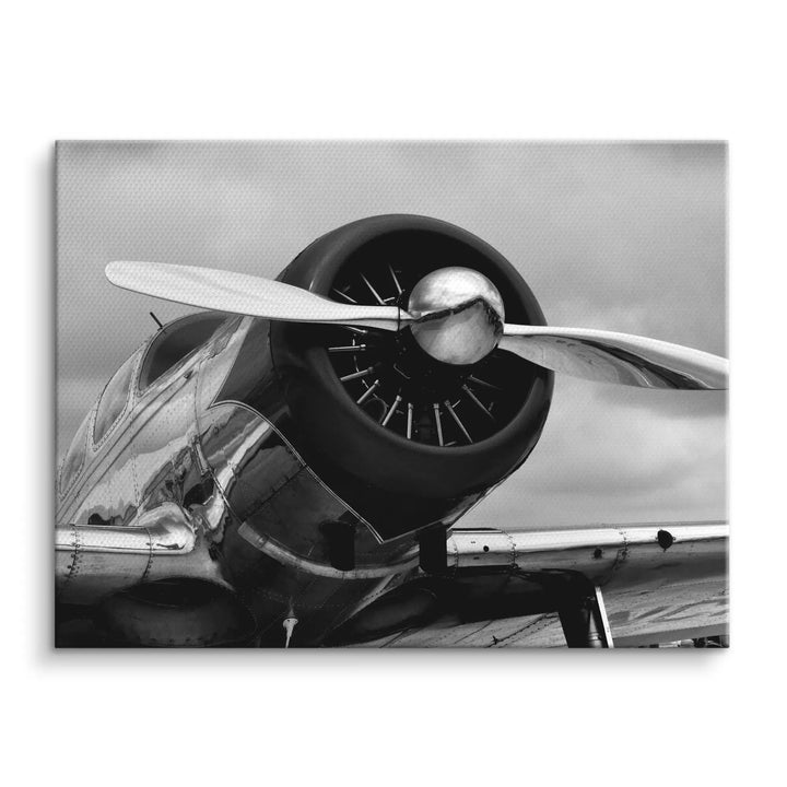 Silver wings