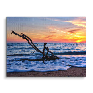 Wandbild mit Treibholz am Strand, Sonnenuntergang, Meereswellen, Natur Leinwandbild