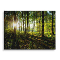 Mural Nature