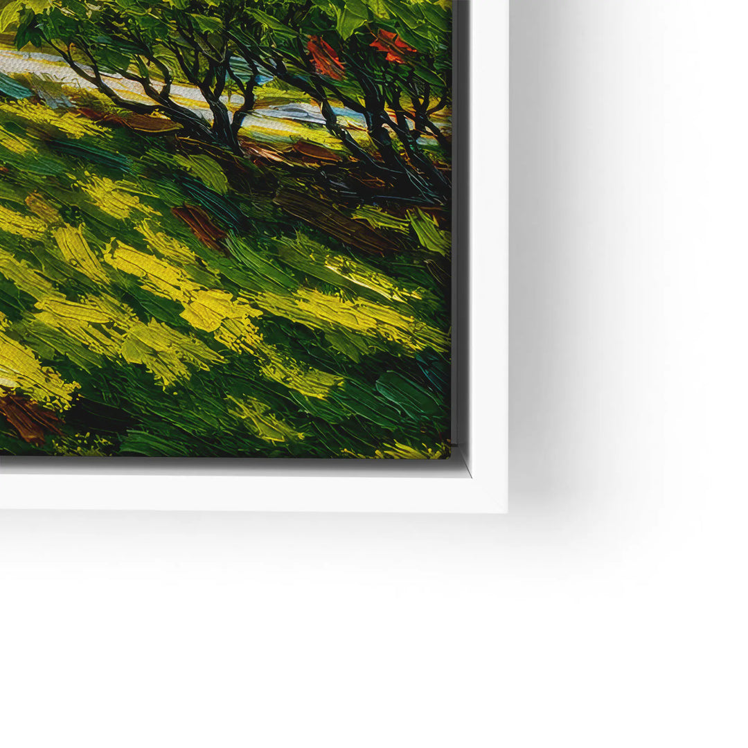 Zonnestralen in het bos 