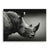 Rhino Portrait