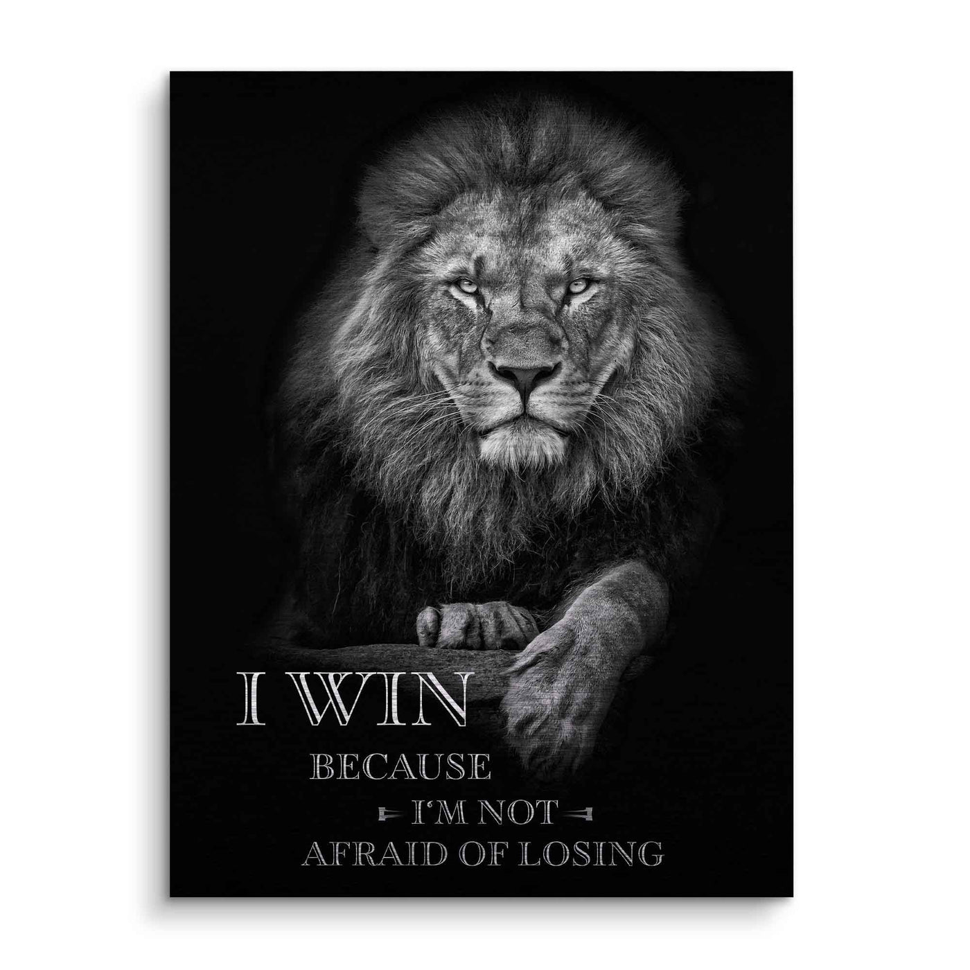 I win - not afraid of losing