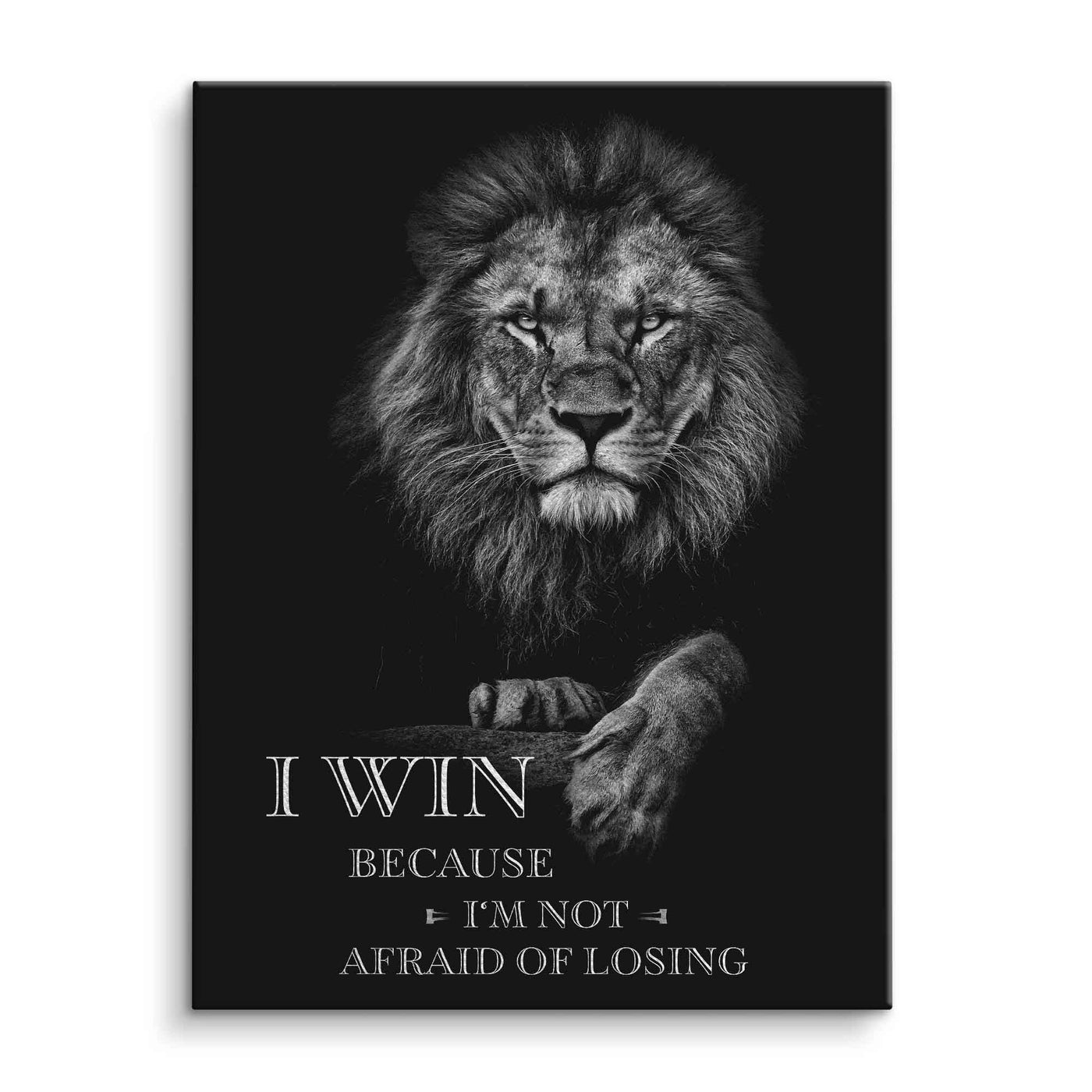 I win - not afraid of losing
