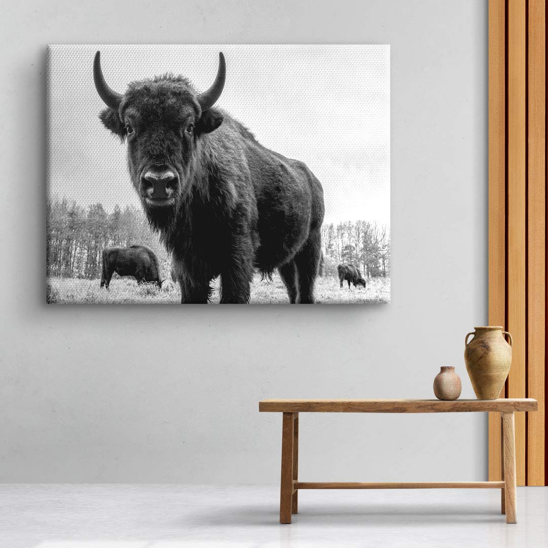 Aurochs bull
