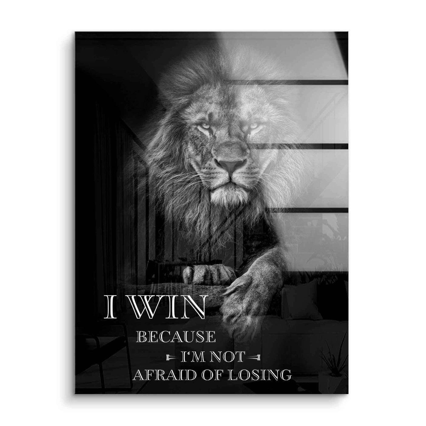 I win - not afraid of losing