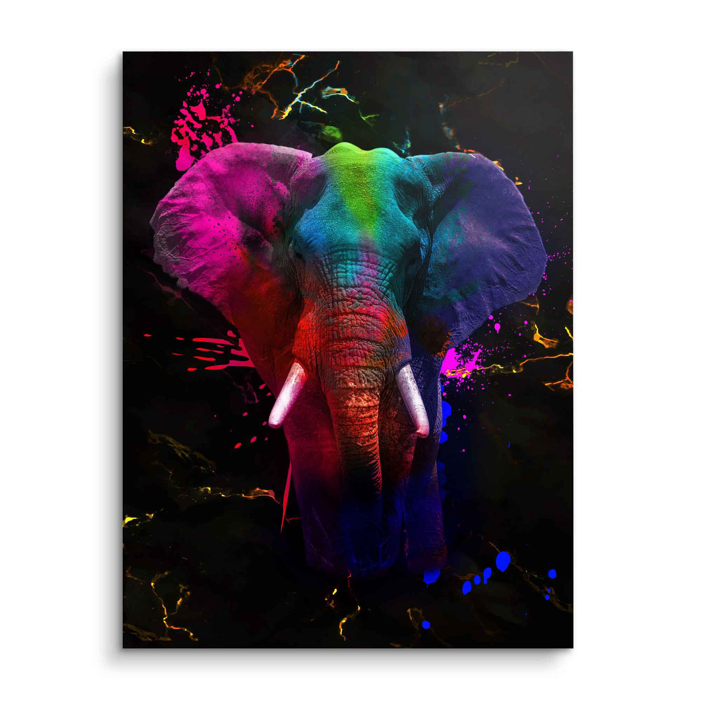 Elephant - Colorful
