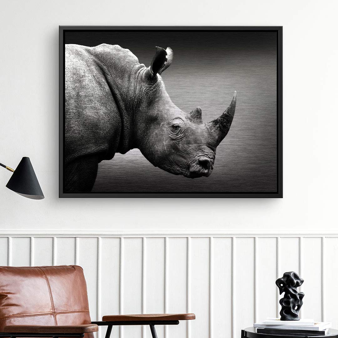 Portrait de Rhino